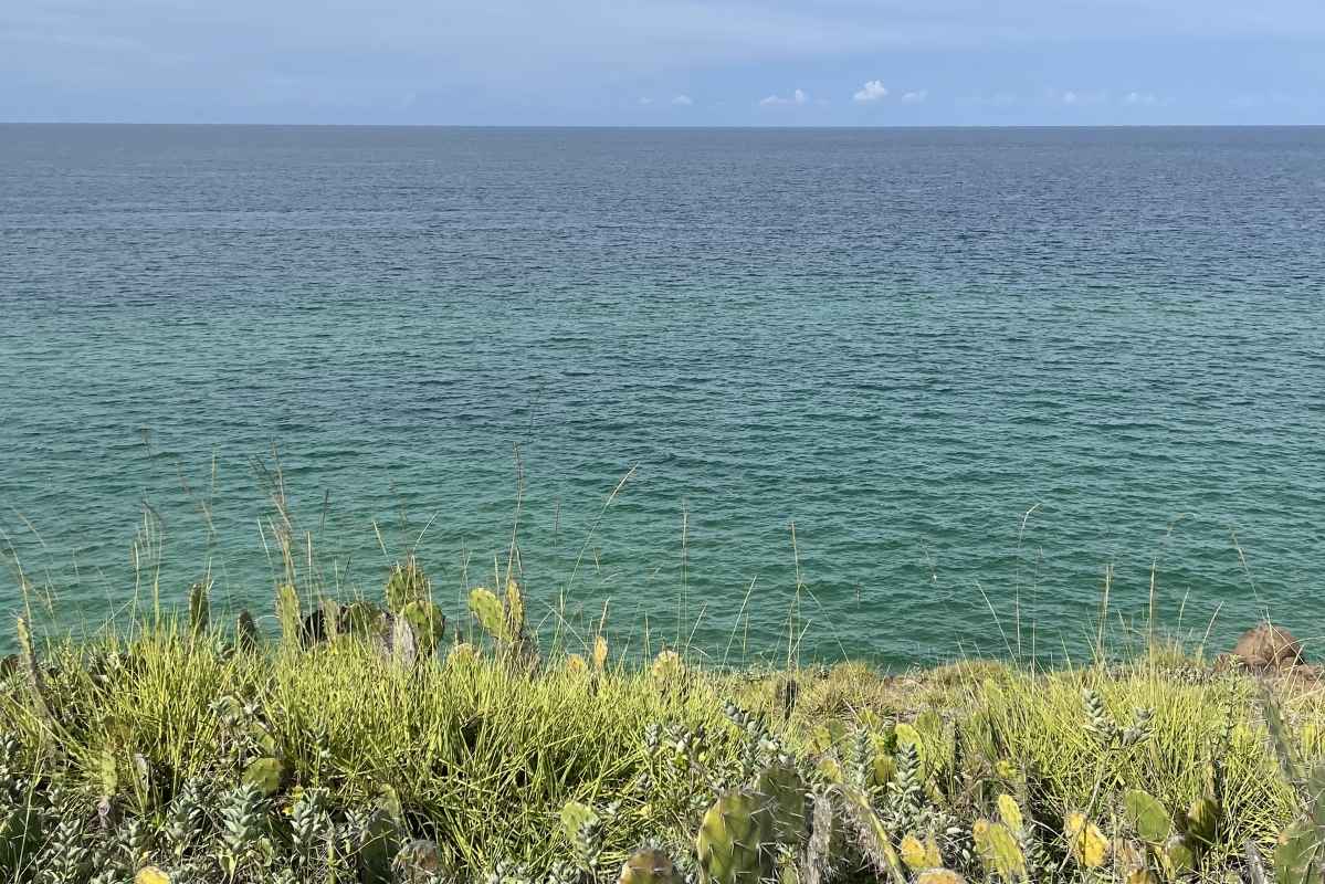 Từng tầng lớp màu xanh của nước biển hòa cùng thảm cỏ xanh hoang sơ tạo nên bức tranh thiên nhiên kỳ vĩ có 1-0-2. Ảnh: Thanh Bình 