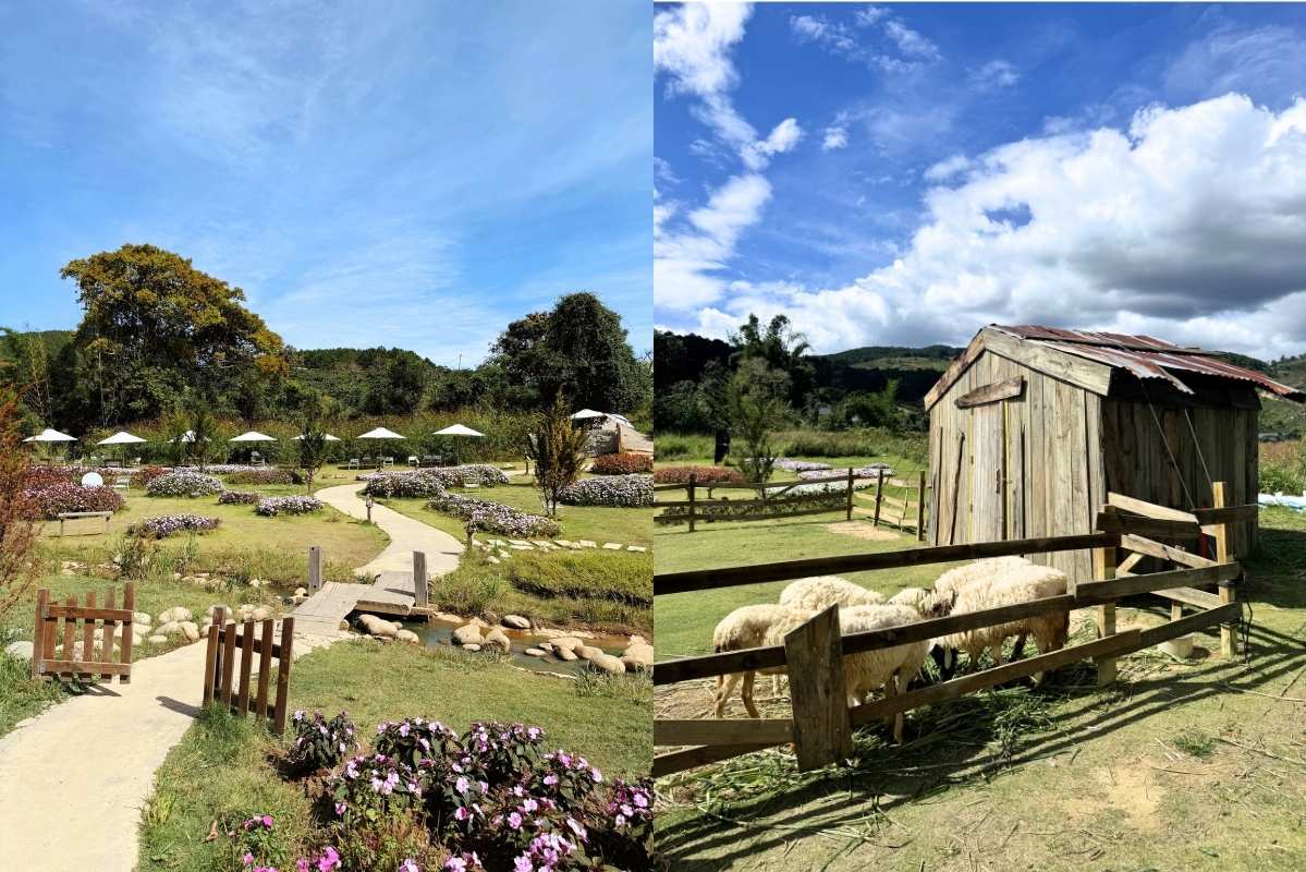 Cánh đồng xanh bát ngát tại Thôn 13 sẽ tạo cho bạn cảm giác như dù có chạy mãi cũng không bao giờ thấy điểm dừng. Ảnh: Phương Anh