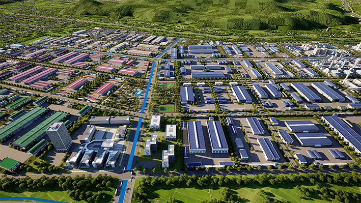 Ảnh: Công ty Phù Mỹ cung cấp