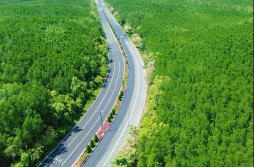 Cung đường chạy độc đáo của VnExpress marathon Green Paradise Cần Giờ 2026. Ảnh: BTC