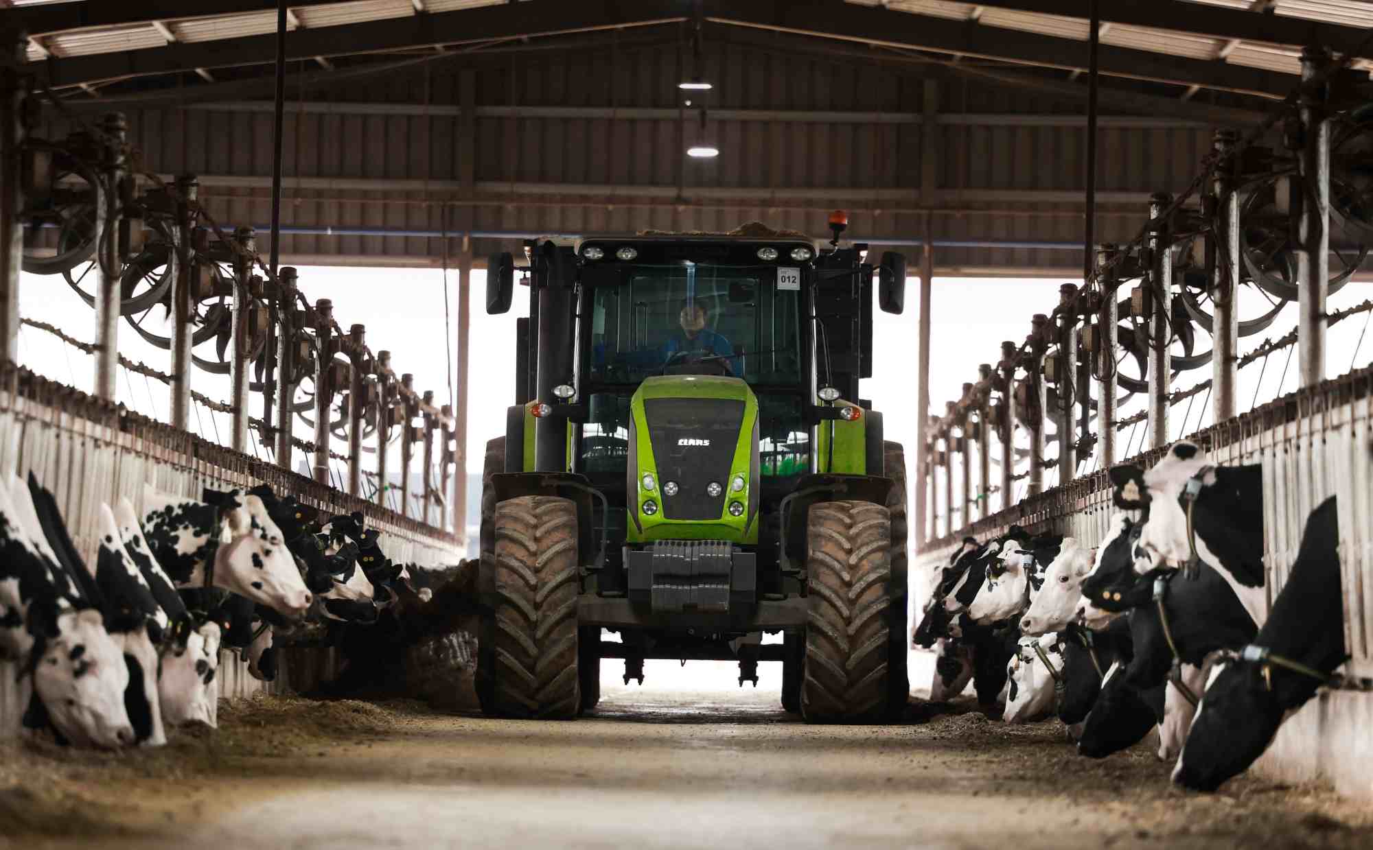 Vietnam's livestock industry still has a lot of development potential in the future. Photo: Hai Nguyen