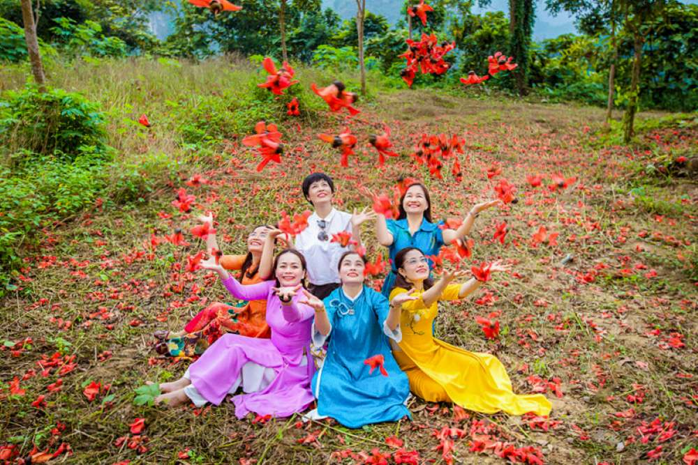 گل کاپوک نه تنها خاطره‌ای از دوران کودکی است، بلکه «ویژه» بهار در حومه استان نِگه آن نیز هست. عکس: رانگ دونگ