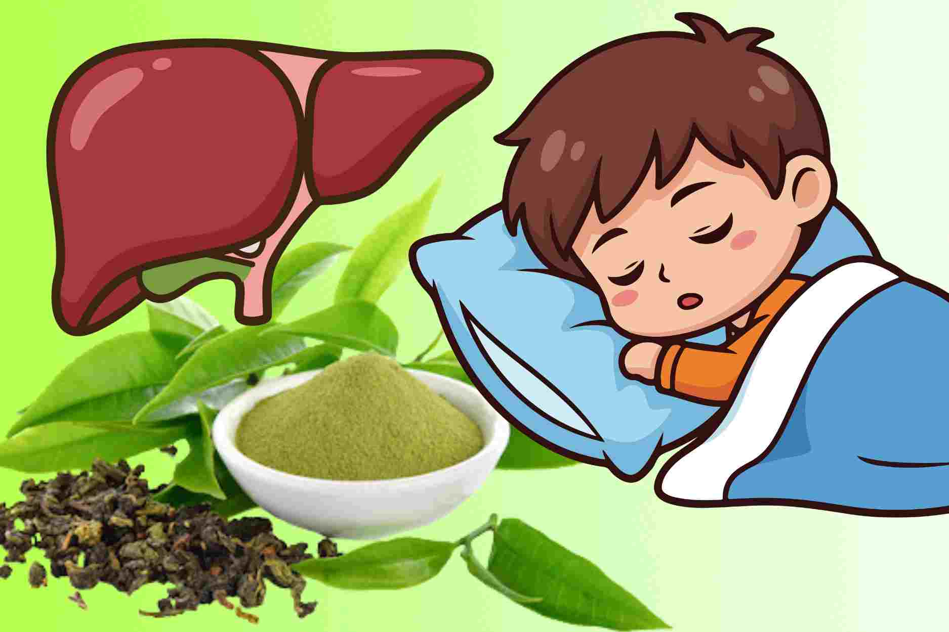 How to use xạ đen leaves to help cool the liver, reduce stress and sleep well