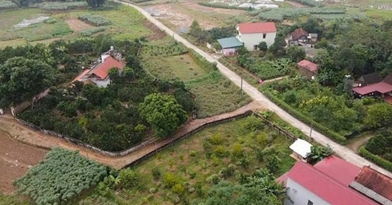 Chuyển đổi đất trồng trọt sang rừng đặc dụng: Thời hạn sử dụng ra sao?