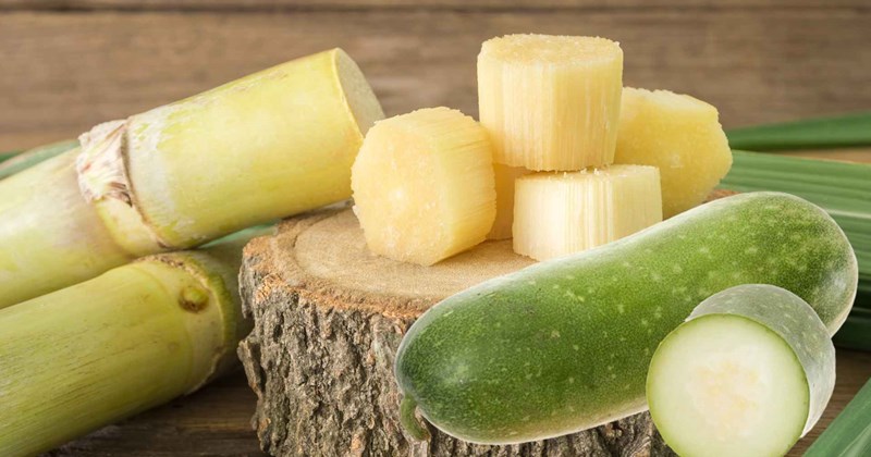 Công thức giải độc gan bằng nước ép bí đao