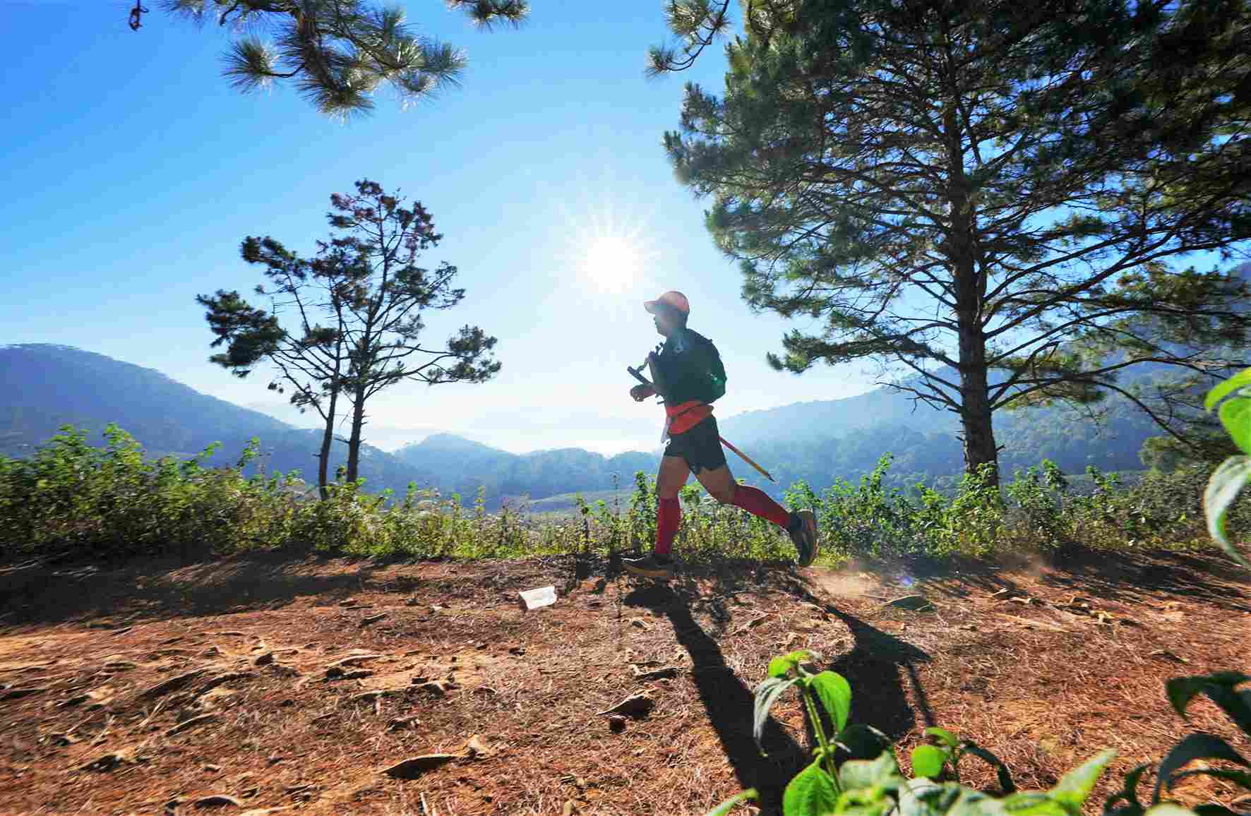 90% cung đường chạy được thiết kế trong không gian rừng tự nhiên của cao nguyên Lang Biang. Ảnh: Ban Tổ chức 