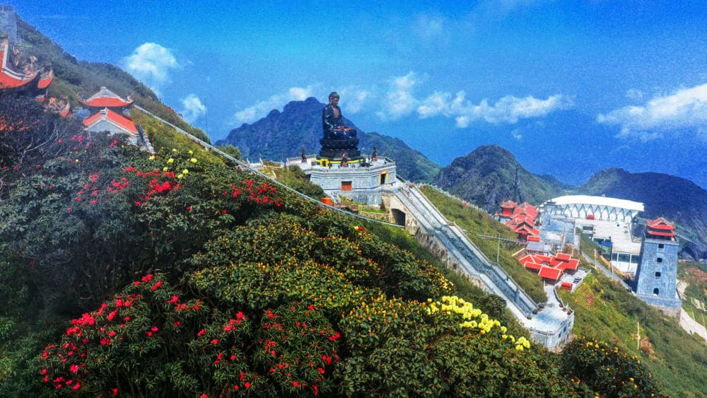 Những gốc Đỗ Quyên cổ thụ nở rộ xung quanh khu quần thể tâm linh Fansipan. Ảnh: Thanh Sơn