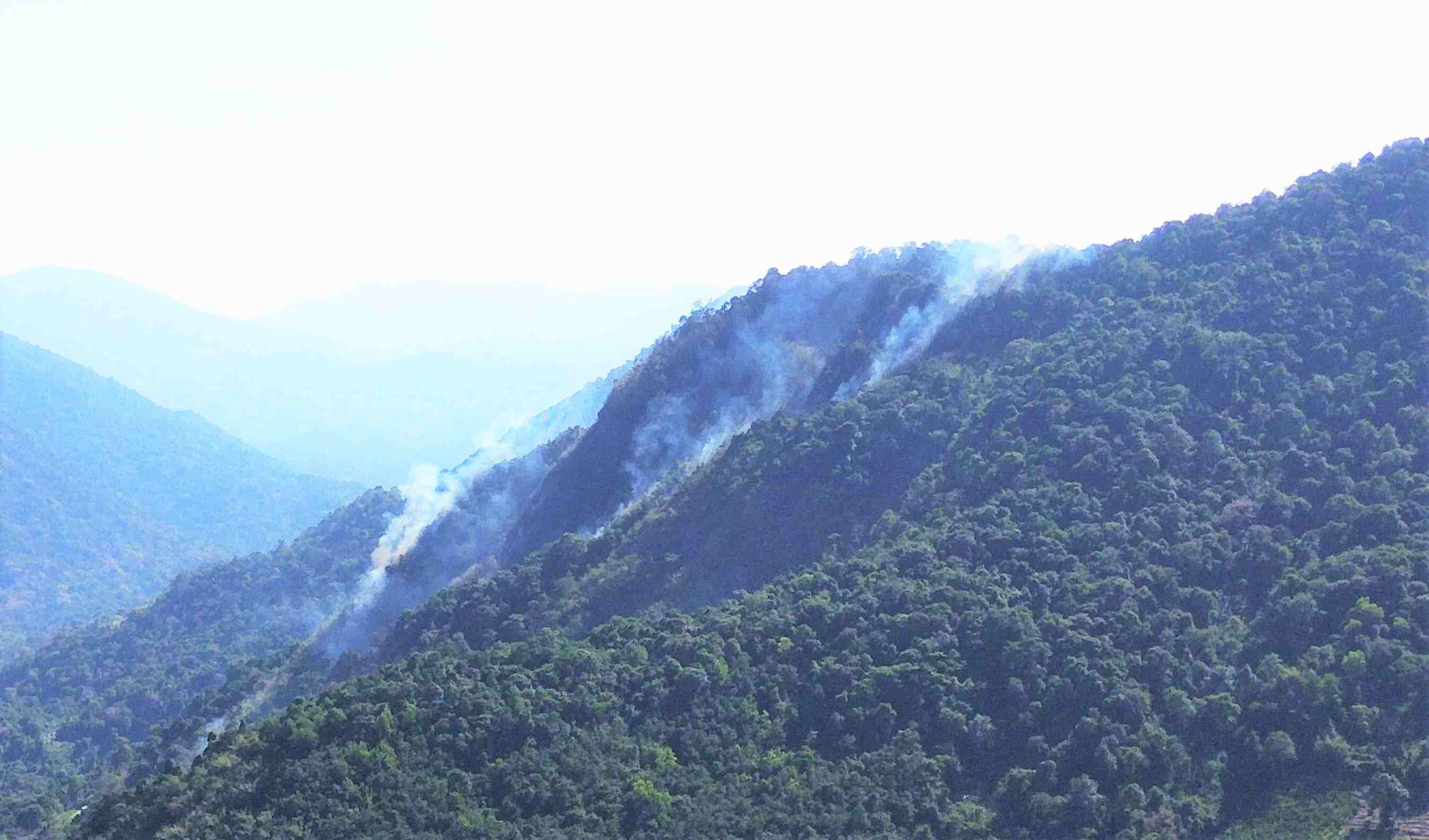 Se produce un gran incendio forestal en el paso de Bao Loc. Foto: Phuc Khanh
