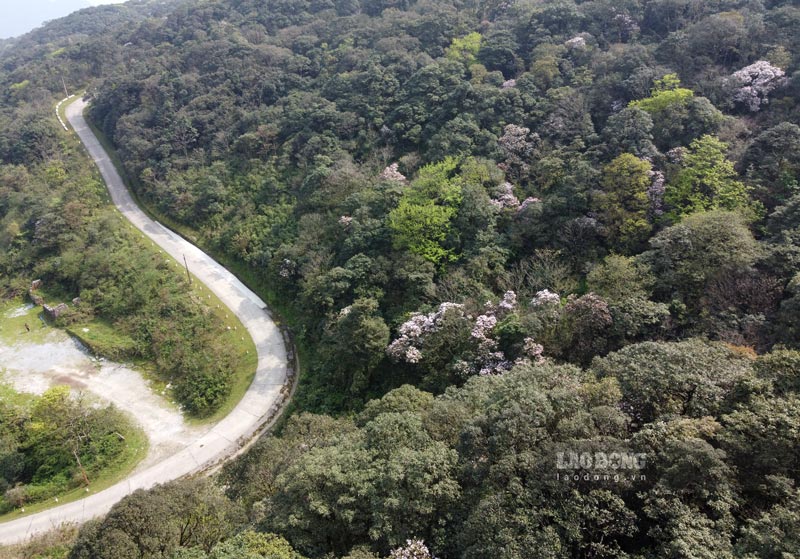 Cao Bang may adjust the area of Phia Oac - Phia Den national park. Photo: Tan Van