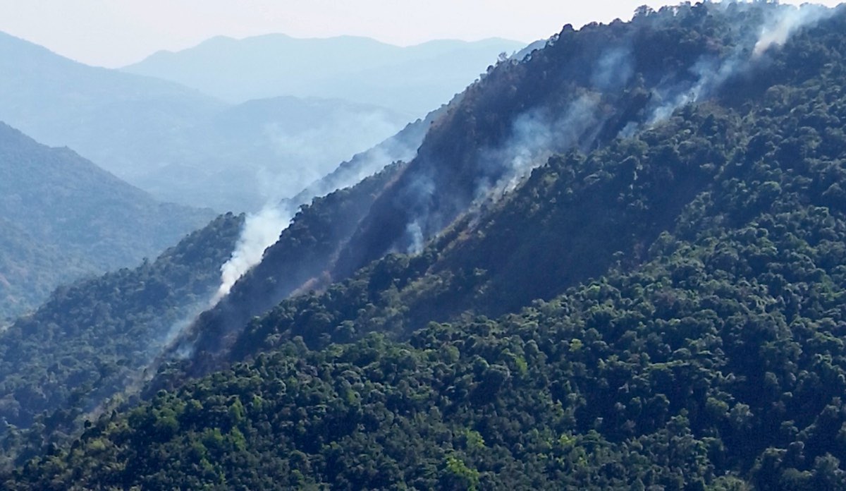 Controlling forest fire on Bao Loc Pass peak