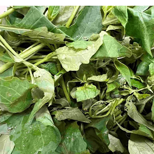 La espinaca de agua tiene muchos usos para ayudar a la excreción de ácido úrico. Foto: Kieu Vu