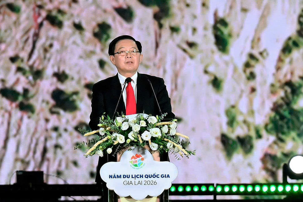 Phó Thủ tướng Chính phủ Hồ Quốc Dũng phát biểu. Ảnh: BTC