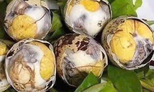 Many people wonder whether people with liver disease should eat balut. Photo: Kieu Vu