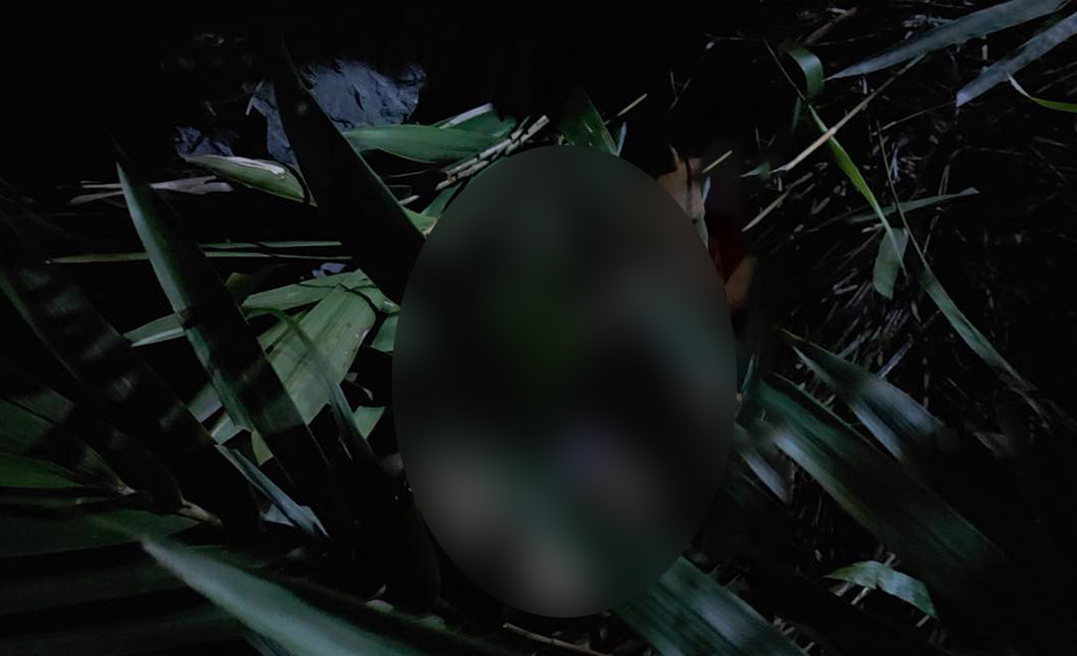 The area where the male student fell on Bai Tho mountain, Quang Ninh province. Photo: People provided