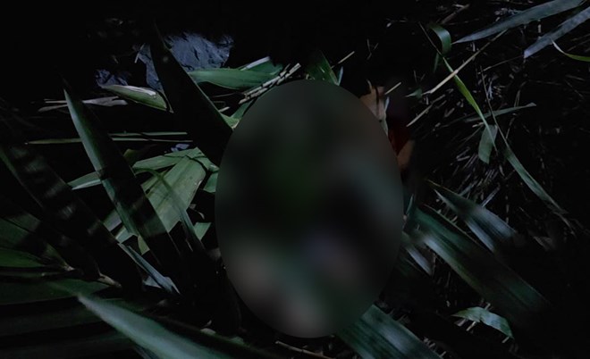 Nam sinh tử vong sau khi ngã tại khu vực núi Bài Thơ, Quảng Ninh