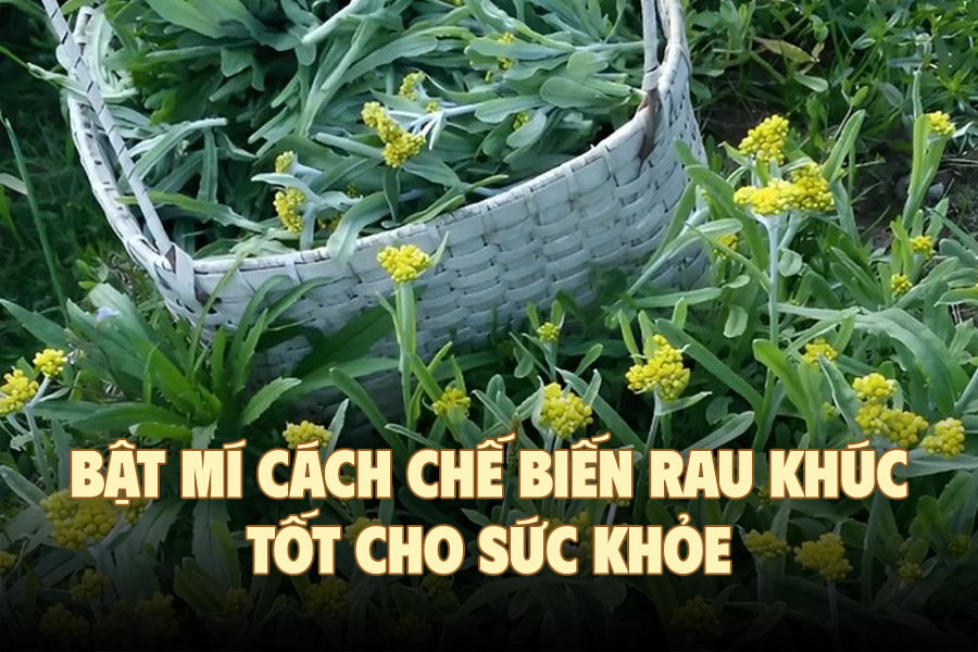 Revelando cómo procesar la verdura khúc para la salud