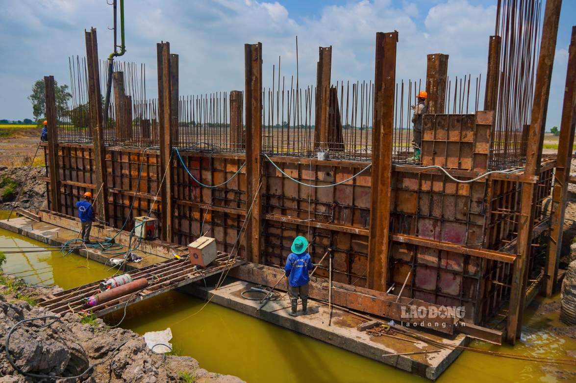 Ghi nhận của phóng viên Báo Lao Động tại Km 64+646 thuộc xã Thạnh Quới, TP Cần Thơ, hiện các nhà thầu khẩn trương thi công kết cấu phần dưới của cầu Tư Bun. Cây cầu có chiều dài hơn 200m với 6 nhịp. 