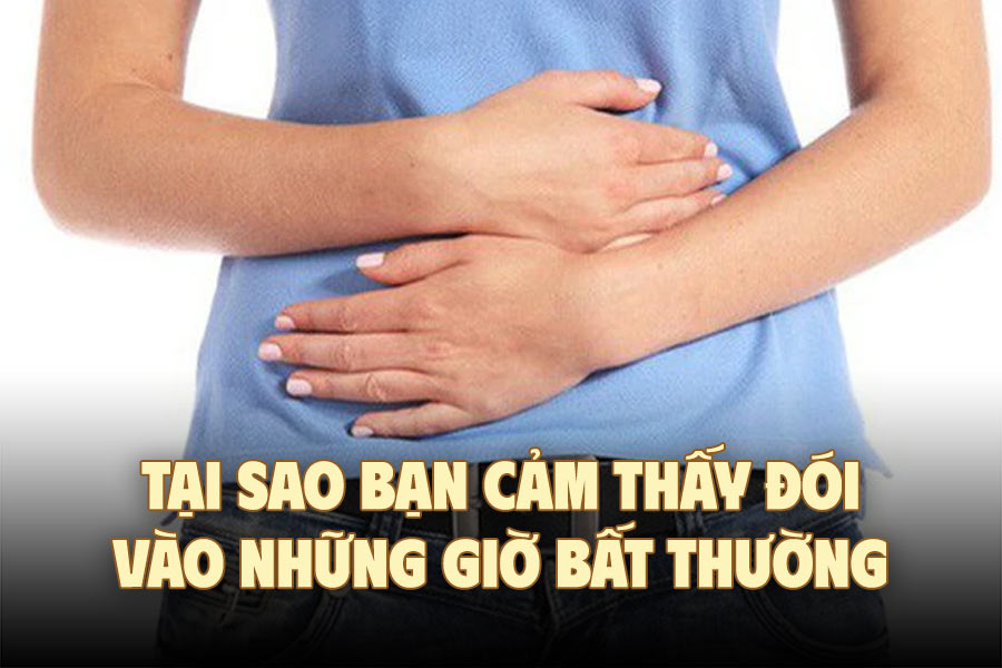 Why do you feel hungry at unusual times