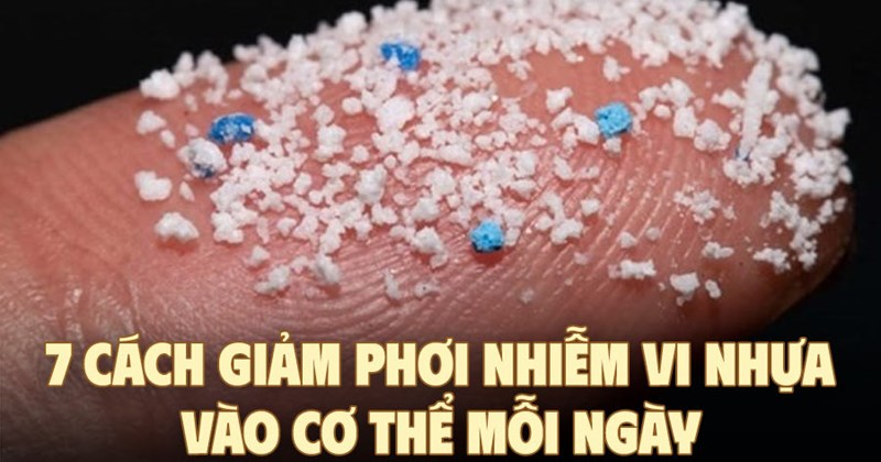 Microplastic âm thầm xâm nhập cơ thể, 7 cách giảm phơi nhiễm