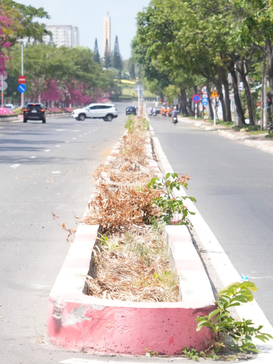 Một đoạn dải phân cách trên đường 3/2 đã hoàn tất nhổ cây, thu hồi trụ đèn. Ảnh: Thành An