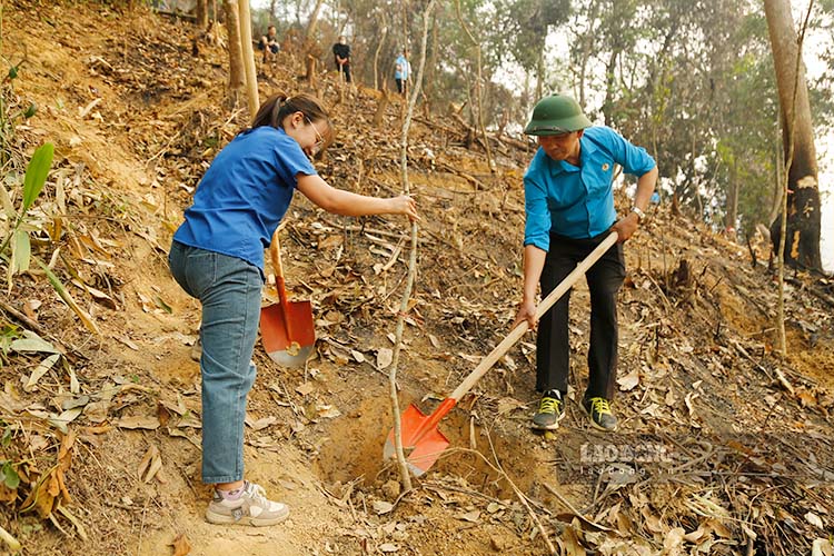 Dien Bien trade union members contribute funds and personally plant ban flowers. Photo: Quang Dat