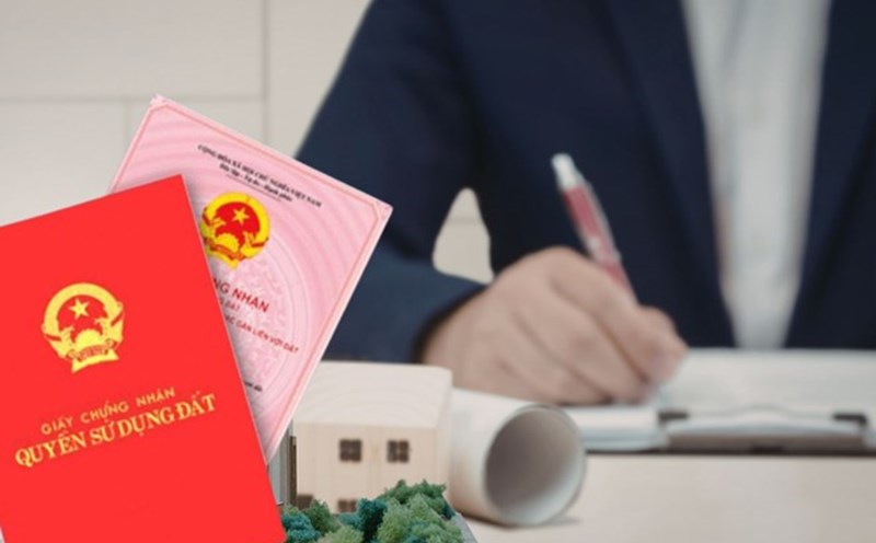 Ministry of Agriculture and Environment responds to the issue of red books for great solidarity houses