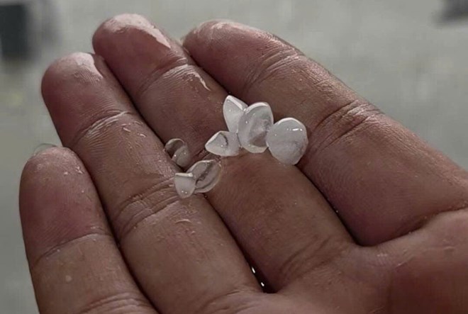 Mưa đá quật đổ cây cối tại Đền Hùng