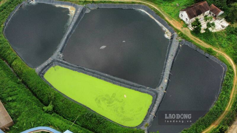 Người dân khẳng định một số khu vực bể thải tại trại lợn nằm trong diện tích Vườn quốc gia Tam Đảo. Ảnh: Nhóm Pv