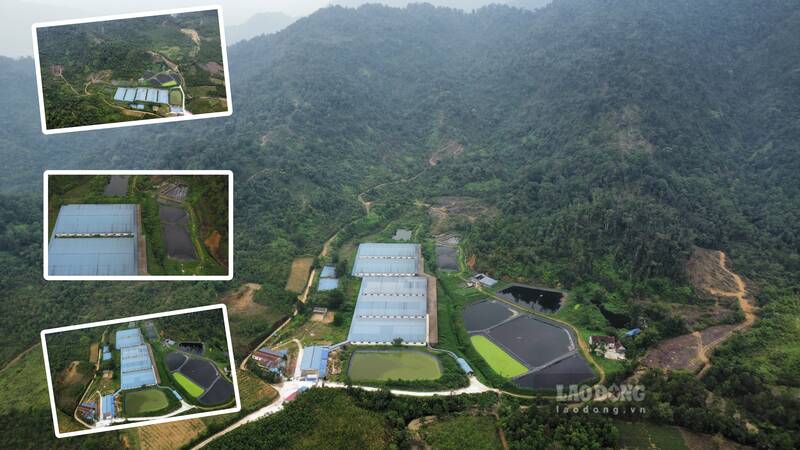Prolonged consequences from projects showing signs of encroachment on Tam Dao National Park. Photo: PV Group