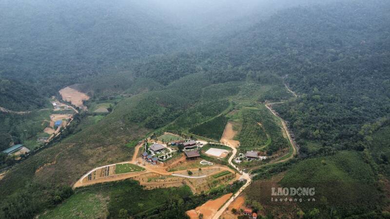 Đất đai chồng chéo giữa Vườn quốc gia Tam Đảo và người dân khiến công tác quản lý gặp nhiều khó khăn. Ảnh: Nhóm Pv