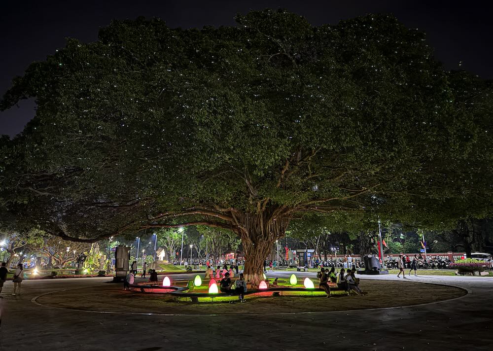 Ngay cả cây xanh cổ thụ bên sông Hương cũng được thiết kế hiệu ứng đèn đầy sáng tạo, thu hút sự chú ý của du khách. 