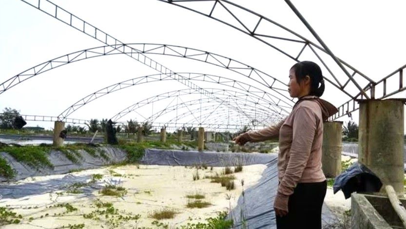 Many households in the coastal area of Ninh Chau commune bear billions of VND in debt due to investment in shrimp farming. Photo: Cong Thanh