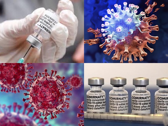 SARS-CoV-2 variant newly monitored by WHO. Graphics: Huong Giang