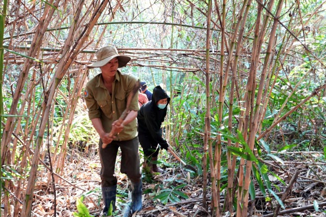 Thousands of ethnic minority households participate in receiving contracts to protect Serepok forest. Photo: Chu Quoc Hung