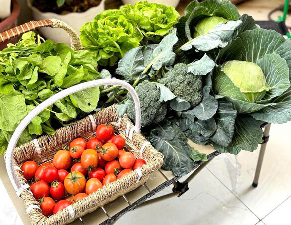 Utilizing vegetables helps reduce waste and move towards a green lifestyle. Photo: Huyen Trang