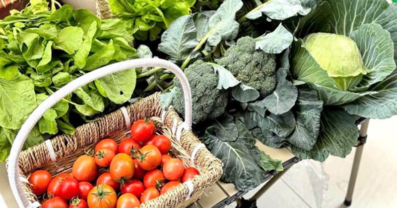 Bí quyết tận dụng rau củ dư thừa, tránh lãng phí trong gia đình