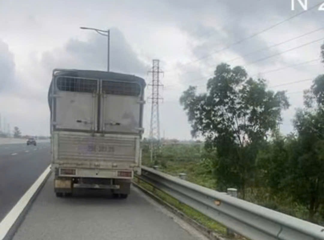 Driver stops car on Hanoi - Hai Phong highway because of drowsiness. Photo: Traffic Police Department