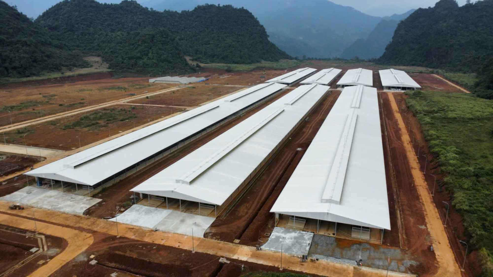 High-tech dairy farm in Ha Giang 2 ward, Tuyen Quang province, has not been completed after nearly 10 years of implementation. Photo: Viet Bac