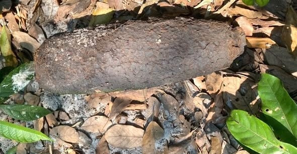 All the artillery shells discovered by people have been collected, transported and safely handled by coordinated units according to regulations. Photo: Dan Dien Commune