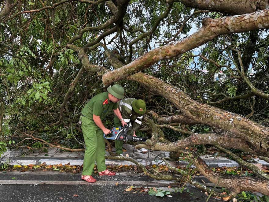 Lực lượng chức năng sử dụng máy cưa cắt, dọn dẹp cây đổ để khôi phục lưu thông. 