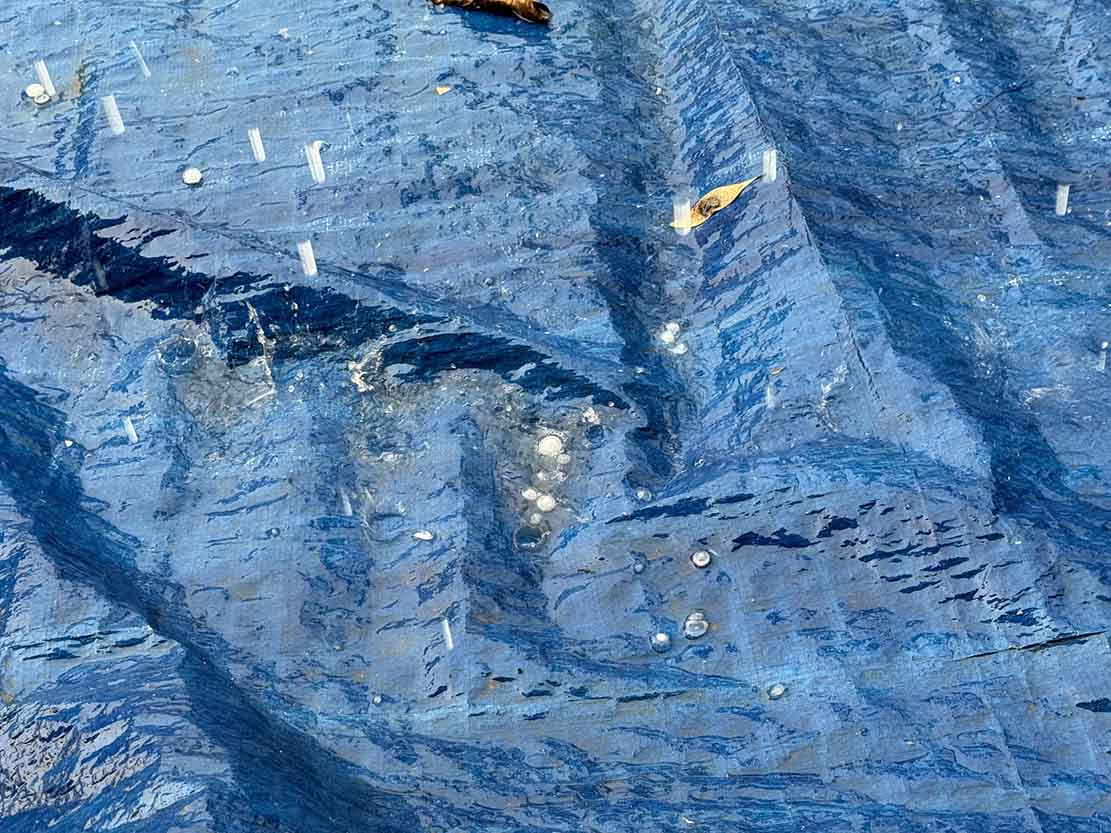 Stone rain fell on the corrugated iron roof in Quy Chau commune (Nghe An) on the afternoon of March 29, many large stone beads caused loud noises. Photo: Luong Nga