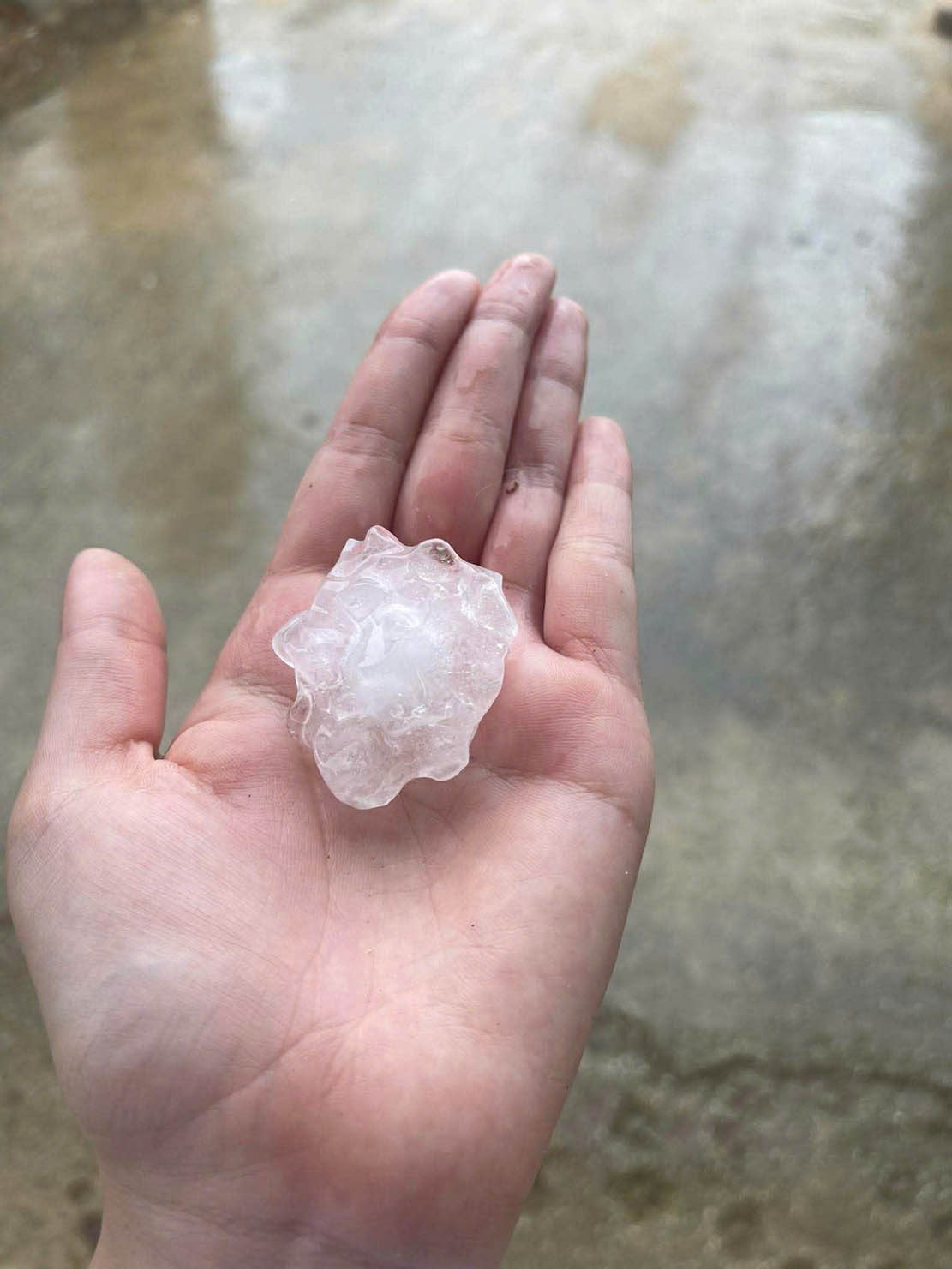 Hạt mưa đá to rơi kèm theo giông lốc. Ảnh: Lương Nga