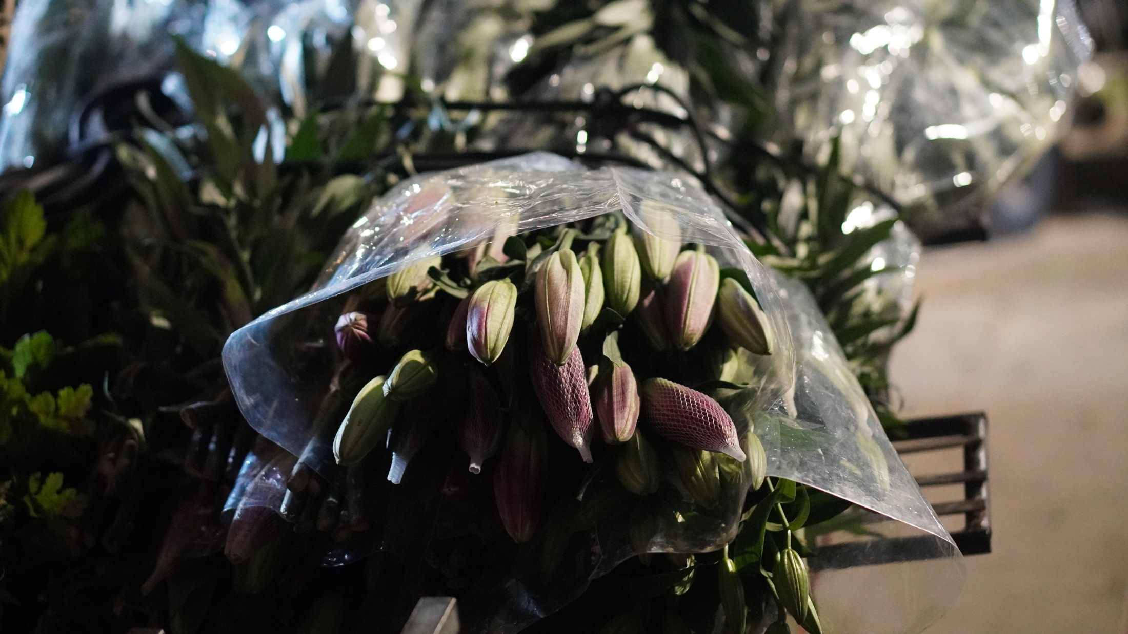 Tiểu thương cẩn thận phân loại từng cành ly, đảm bảo bông đều và tươi mới. Ảnh: Minh Vũ