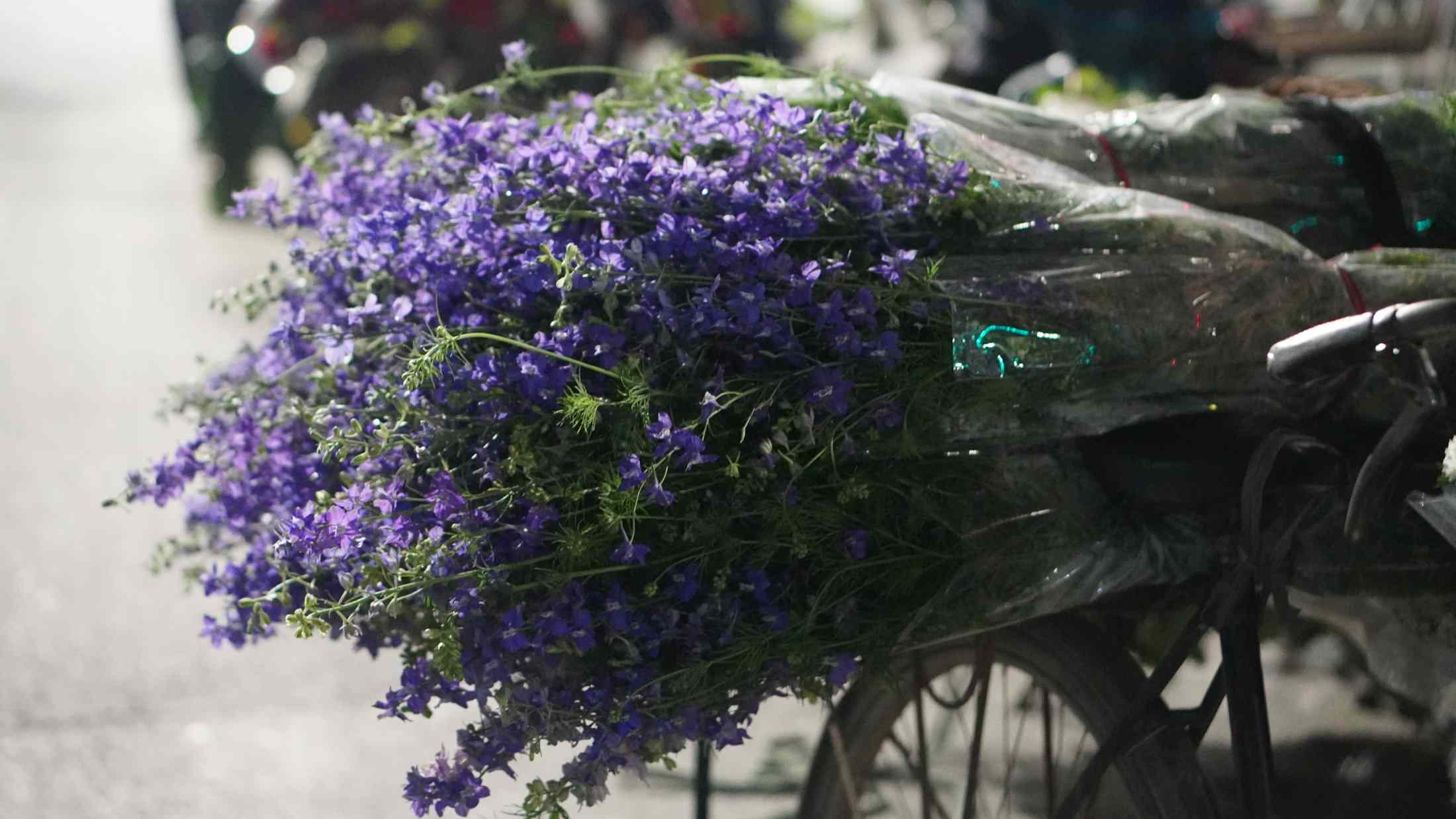 Hoa Phi Yến được bó gọn gàng, sẵn sàng theo chân thương lái phục vụ nhu cầu cắm bình ngày Rằm. Ảnh: Minh Vũ