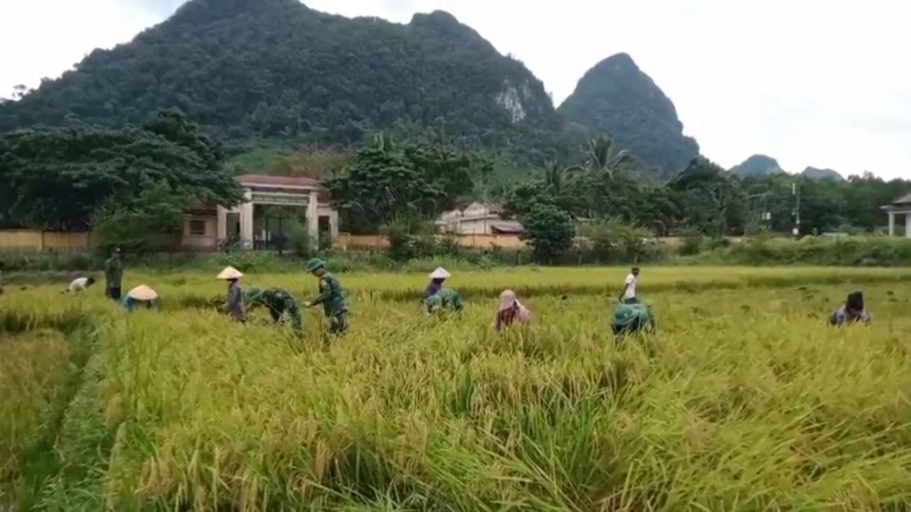 Quang Tri Border Guard always sticks to the village, helping people develop the economy and stabilize the lives of people in border areas. Photo: Thanh Trung
