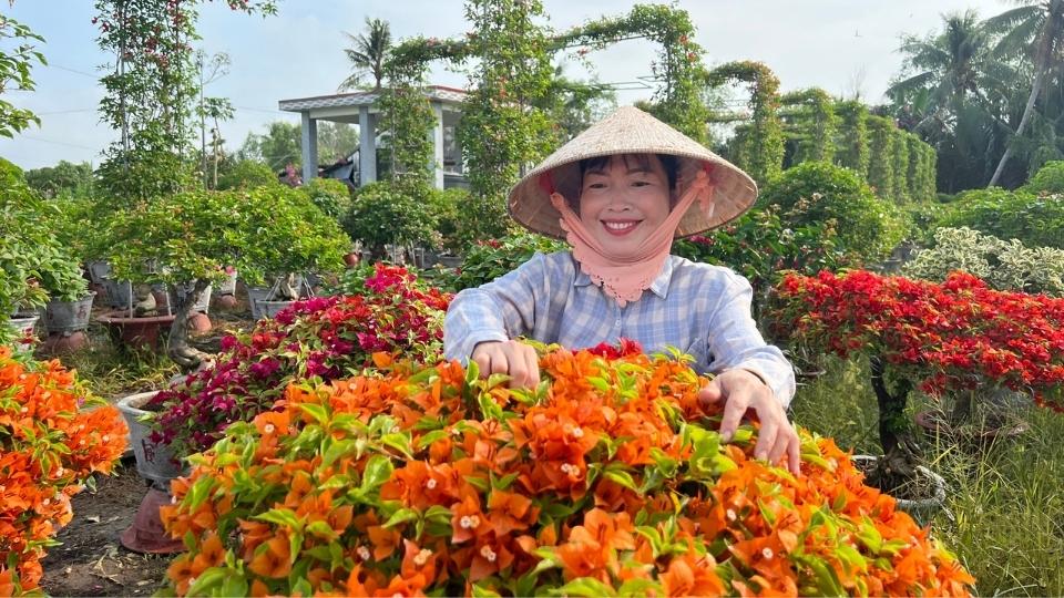 Những chậu hoa giấy chưa được tiêu thụ trong vụ Tết Nguyên đán 2026 được nông dân đưa về vườn chăm sóc, cắt tỉa, phục hồi để chuẩn bị cho mùa vụ mới. Ảnh: Hoàng Lộc