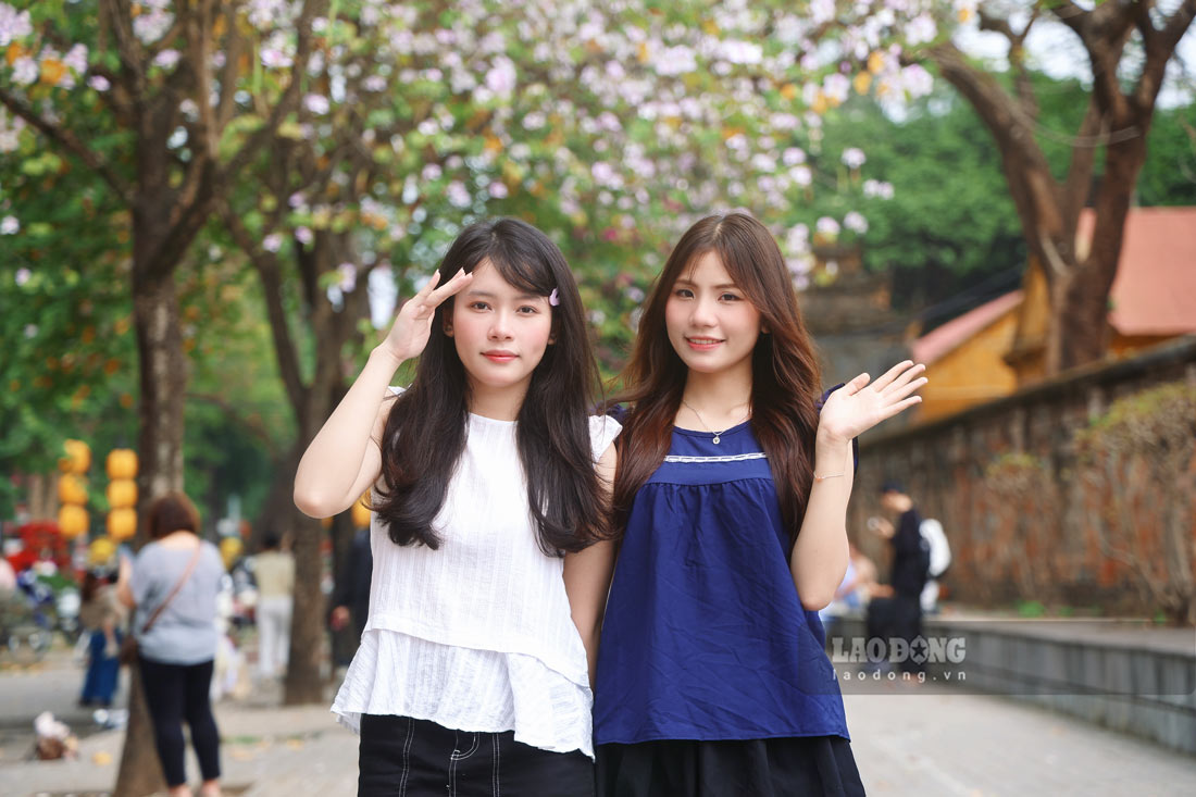 Thấy hình ảnh hoa nở rộ và được đăng trên mạng xã hội, tranh thủ dịp cuối tuần, chị Đinh Mai Anh (bên trái) ở xã Sơn Đồng, Hà Nội đã cùng bạn đến đây chụp ảnh. “Chúng tôi dậy từ sớm để trang điểm, chọn những bộ đồ đẹp nhất với mong muốn lưu lại những khoảnh khắc thật ấn tượng”, chị Mai Anh chia sẻ.