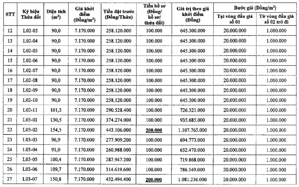 Thông tin phiên đấu giá 27 thửa đất tại xã Tiến Thắng. Ảnh: Công ty Đấu giá Hợp danh Số 5 - Quốc gia