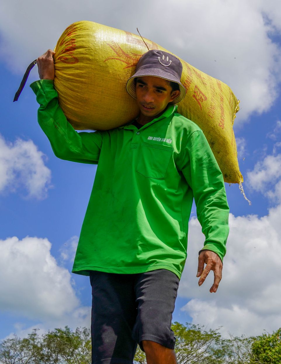 Không chỉ nông dân phấn khởi khi năng suất cao, nhiều lao động nông thôn cũng có nguồn thu nhập từ công việc thu hoạch, vận chuyển lúa.