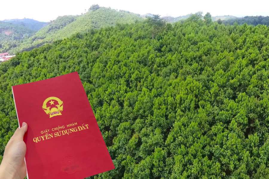 Do production forest land need roads for cars to be granted land use right certificates?